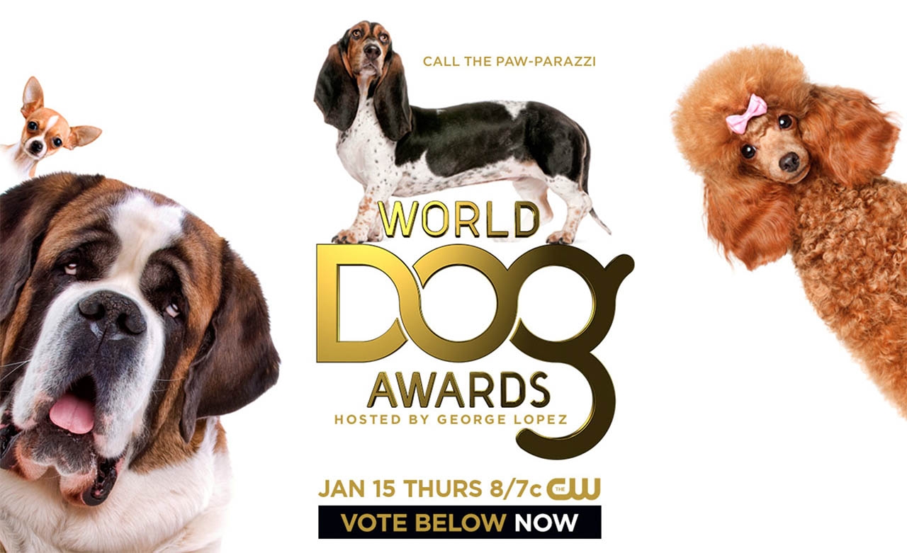 World Dog Awards 2015 Good Dog Animals
